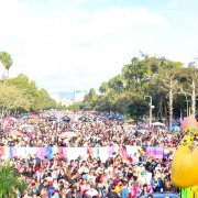 Apresentadora da parada, com roupa amarela e peruca vermelha. Ela está em cima do trio com a imensidão do público em sua frente.